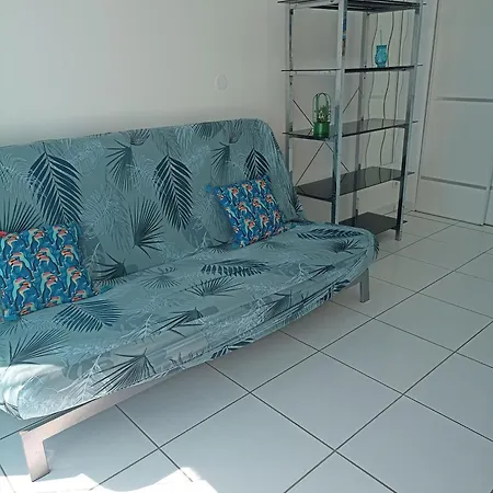 Maisonnette 37 M2 Wi-fi, Pkg, Clim Tatil Evi Lattes