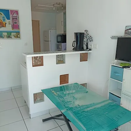 Maisonnette 37 M2 Wi-fi, Pkg, Clim Casa vacanze