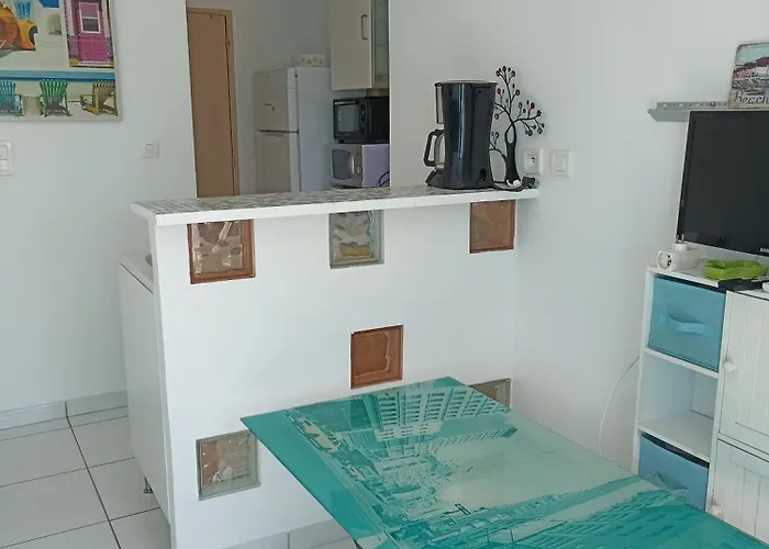 Maisonnette 37 M2 Wi-fi, Pkg, Clim Casa de Férias
