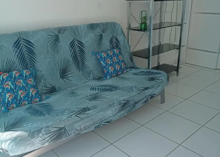 Maisonnette 37 M2 Wi-fi, Pkg, Clim Casa de Férias Lattes